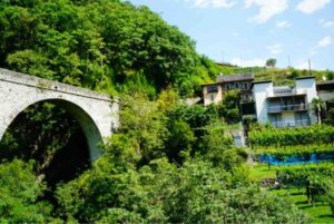 ポーランドののどかな田園風景が広がる車窓からの眺め