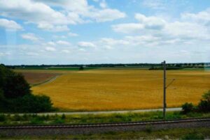 アウシュヴィッツ強制収容所の入り口へと続く、まっすぐに伸びた線路