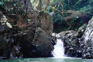 川を歩いて進んだ先にあるやんばるの秘境・ター滝の清流と自然