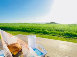ミルミル本舗本店のベンチから眺める海に沈みゆく美しい夕日