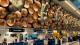 【デリー空港】シャワー・ラウンジ完全ガイド!仮眠場所とe-Visaの注意点も