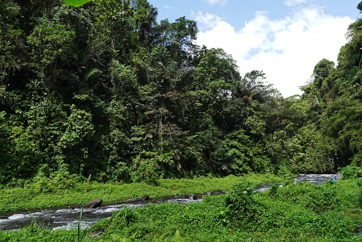 大自然と独自の文化が融合するインドネシア・バリ島のリゾート風景