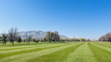 【体験記】キルギス唯一のゴルフ場！「Maple Leaf Golf 」で18H回ってみた